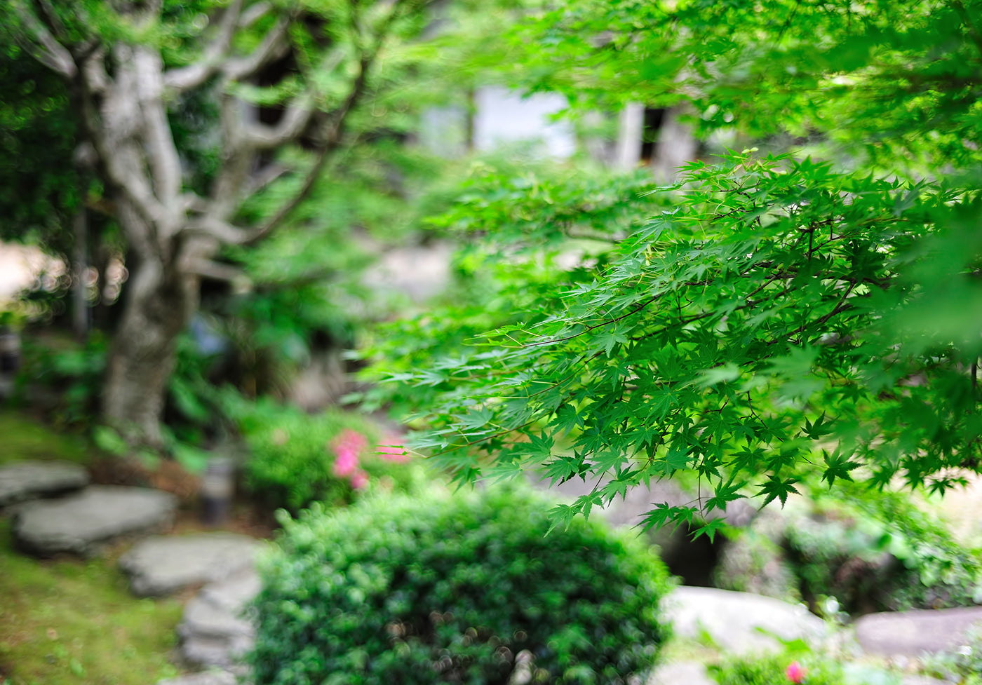 Garden & Outdoors - The Wabi Sabi Shop