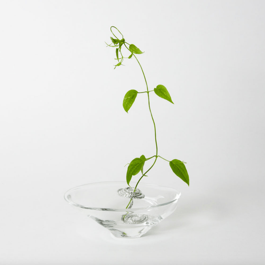 Clear glass flower holder with silver metal coil insert, showcasing a single green vine in a modern minimalist Ikebana-style arrangement on a white background.