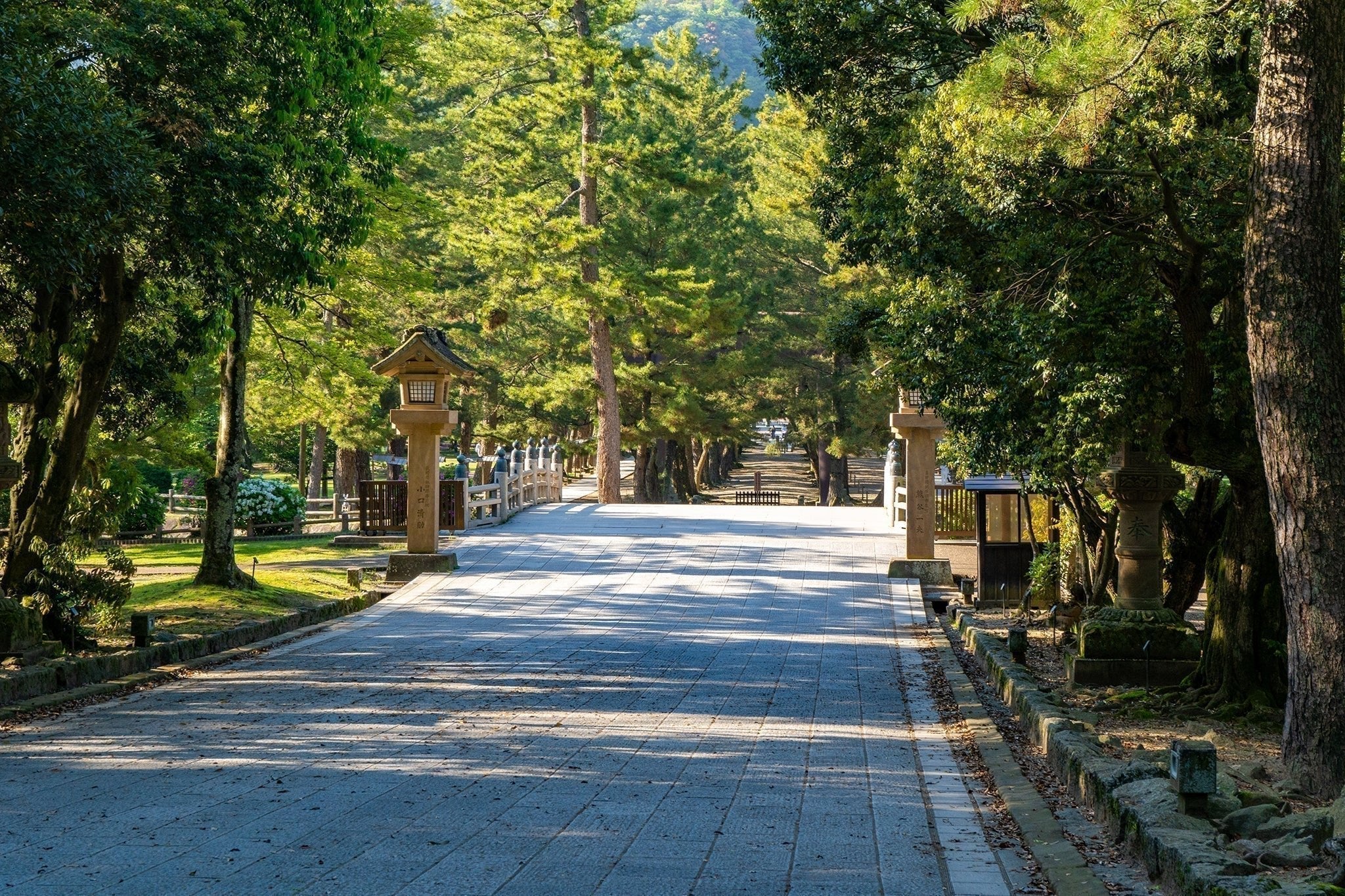 Kamiarizuki — When the Gods Gather at Izumo Taisha - The Wabi Sabi Shop