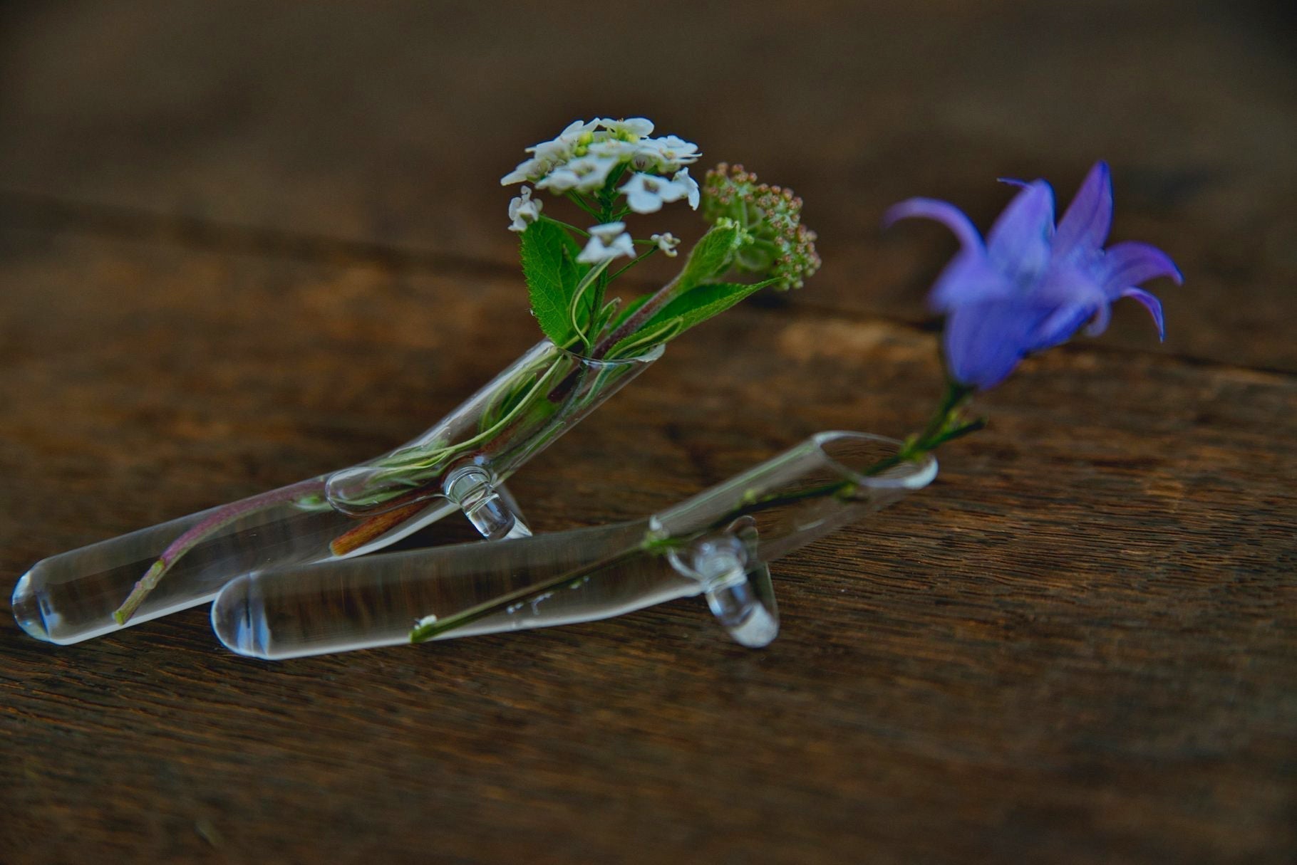 Love That Shows Up: Care in Its Quietest Form - The Wabi Sabi Shop