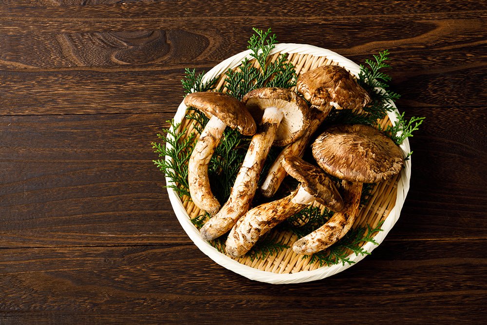 Matsutake Mushrooms: The most expensive mushrooms from Japan - The Wabi Sabi Shop
