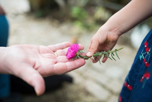敬老の日 — Respect for the Aged - The Wabi Sabi Shop