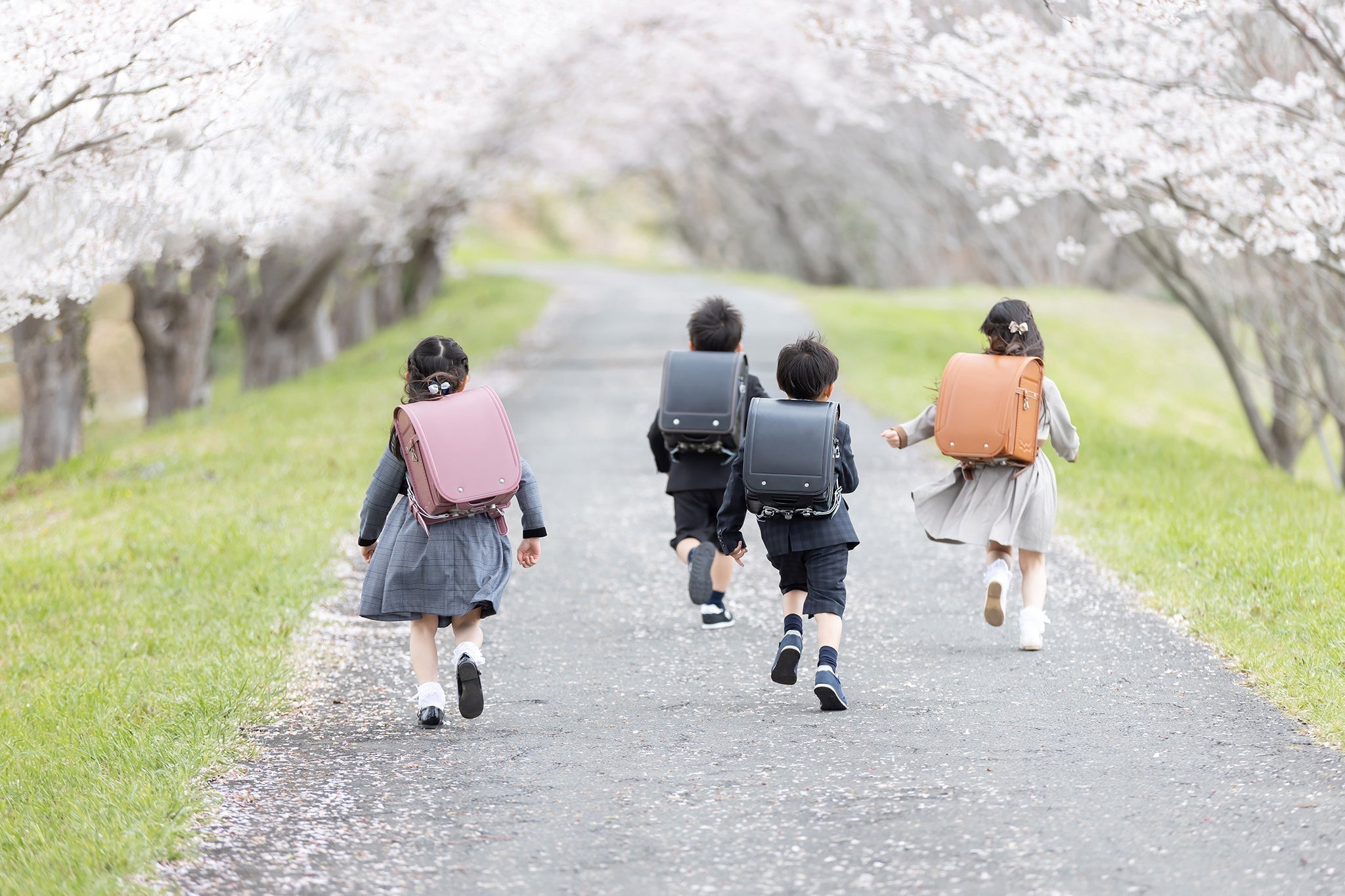 初心 — The Feeling of the First Day - The Wabi Sabi Shop