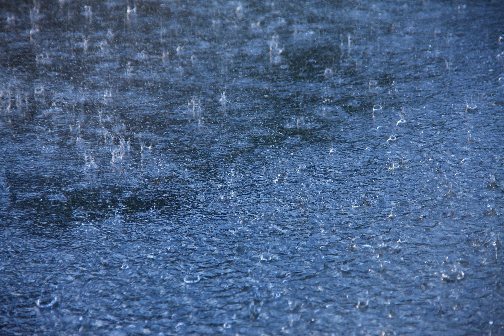 備え — The Quiet Practice of Being Ready - The Wabi Sabi Shop