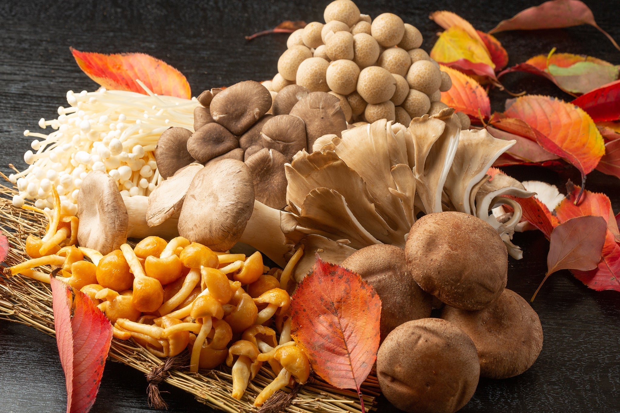 The Tasty World of Japanese Mushrooms - The Wabi Sabi Shop
