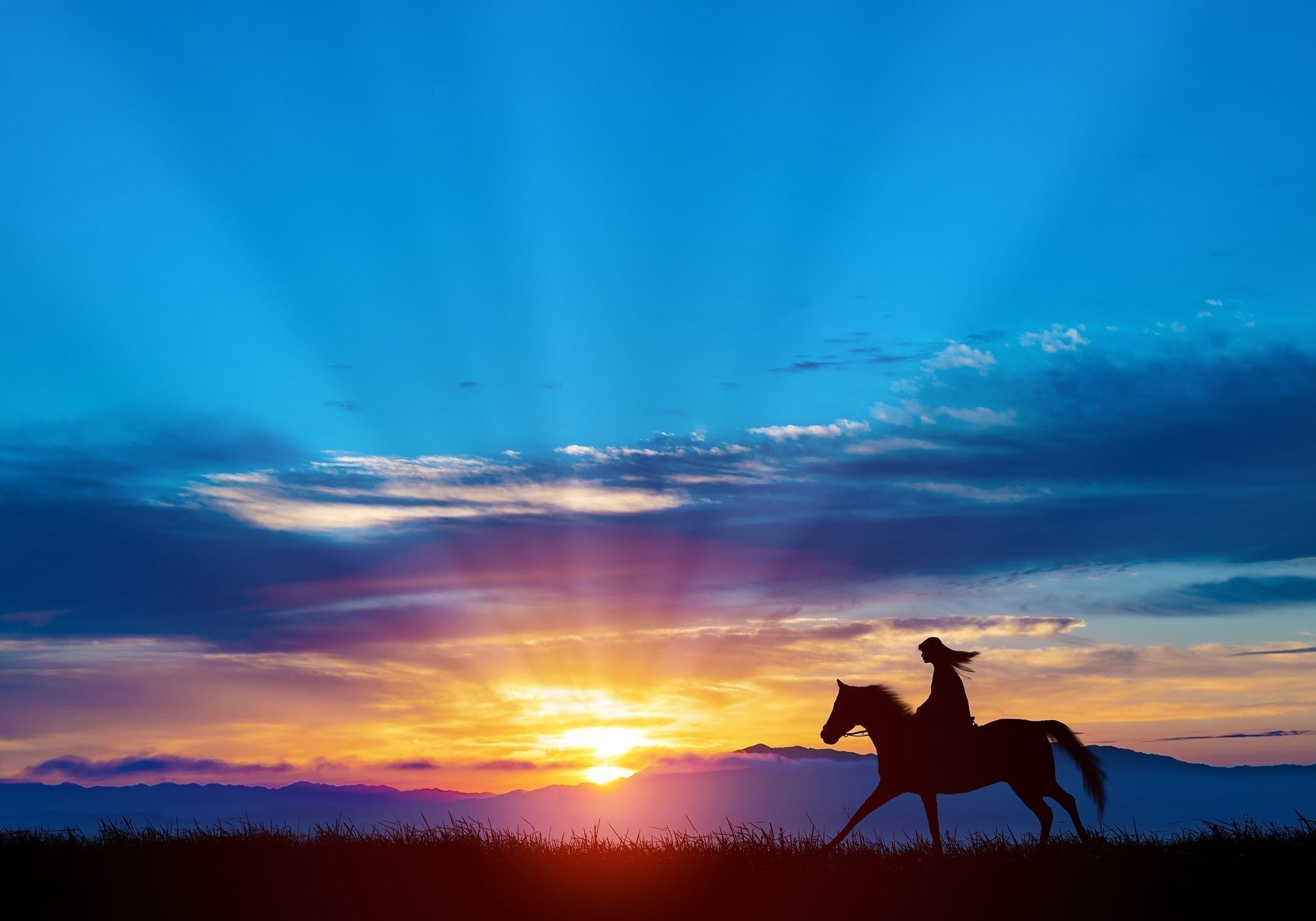 The Year of the Fire Horse: A Year Meant to Move - The Wabi Sabi Shop