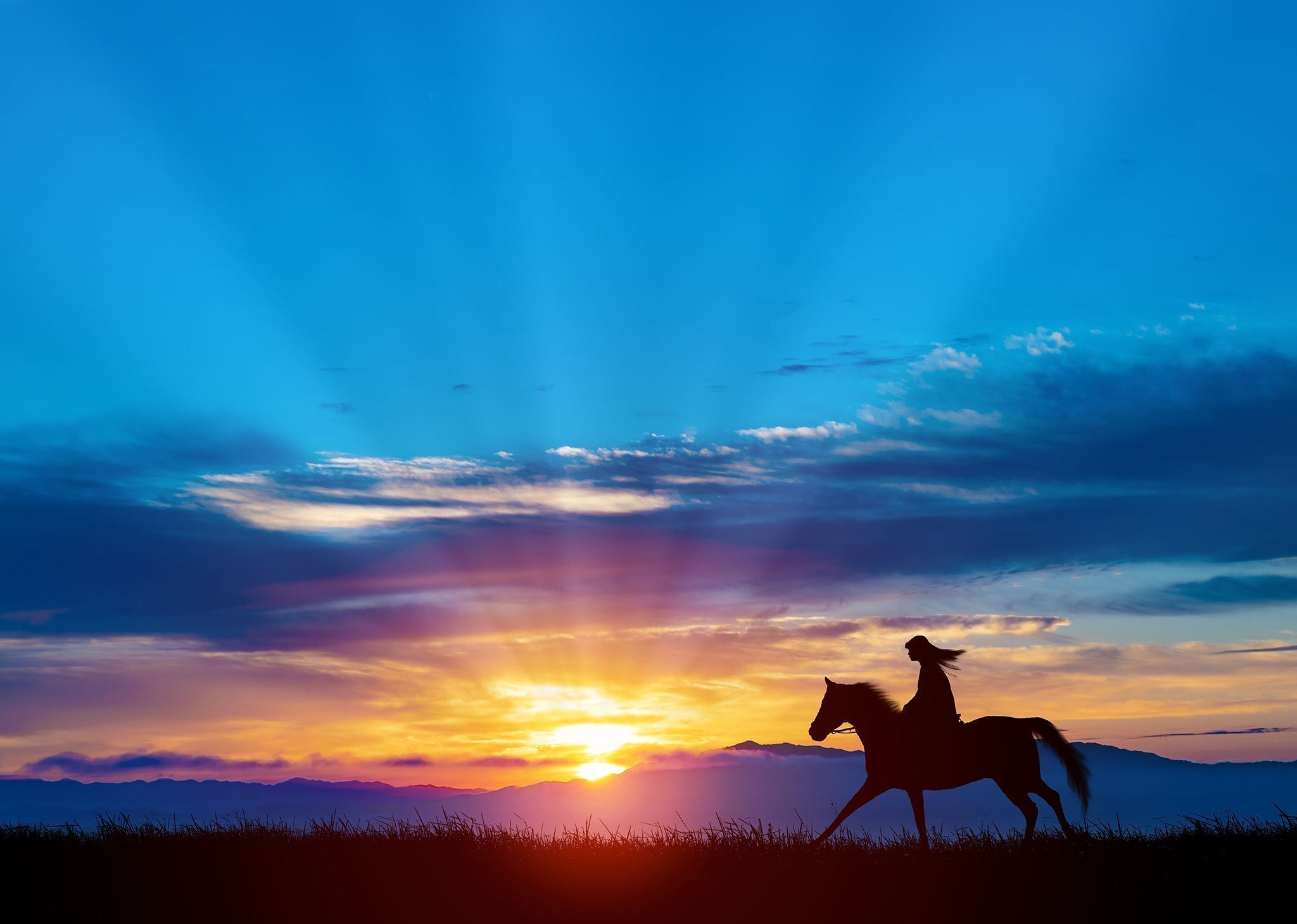 The Year of the Fire Horse: A Year Meant to Move - The Wabi Sabi Shop