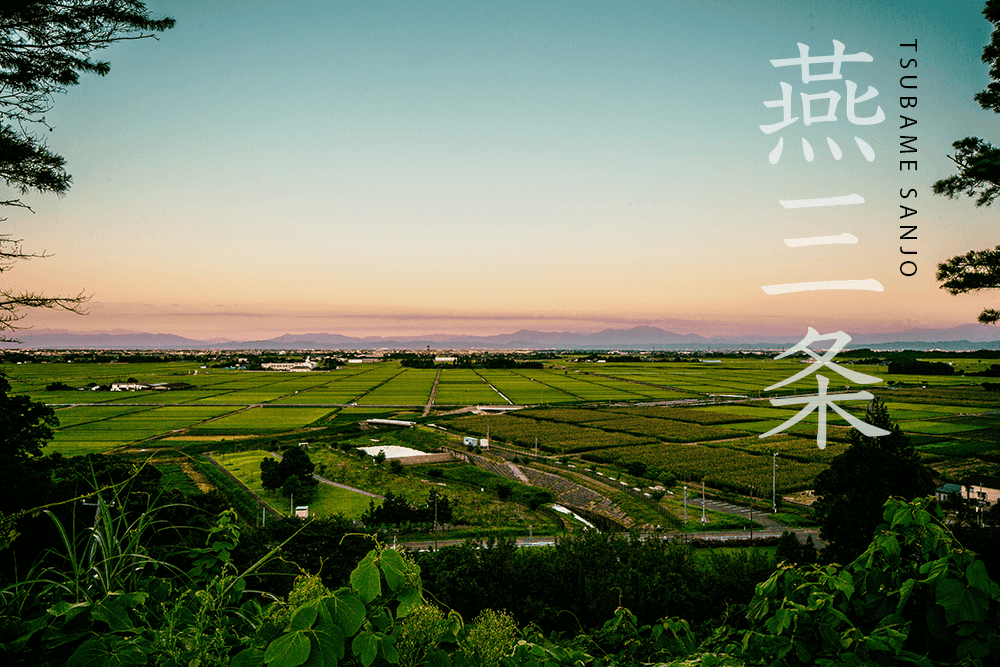 Tsubame Sanjo: The City of Metalworking - The Wabi Sabi Shop