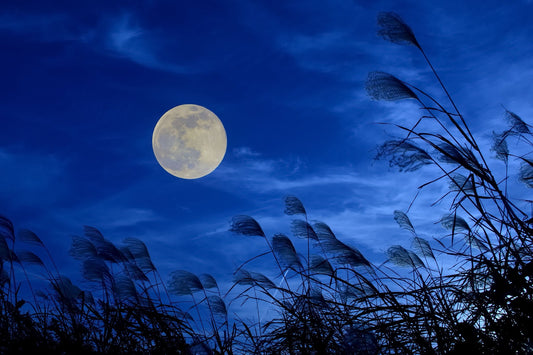 Tsukimi 2024: Celebrate Japan’s Mid-Autumn Festival Under the Full Moon - The Wabi Sabi Shop