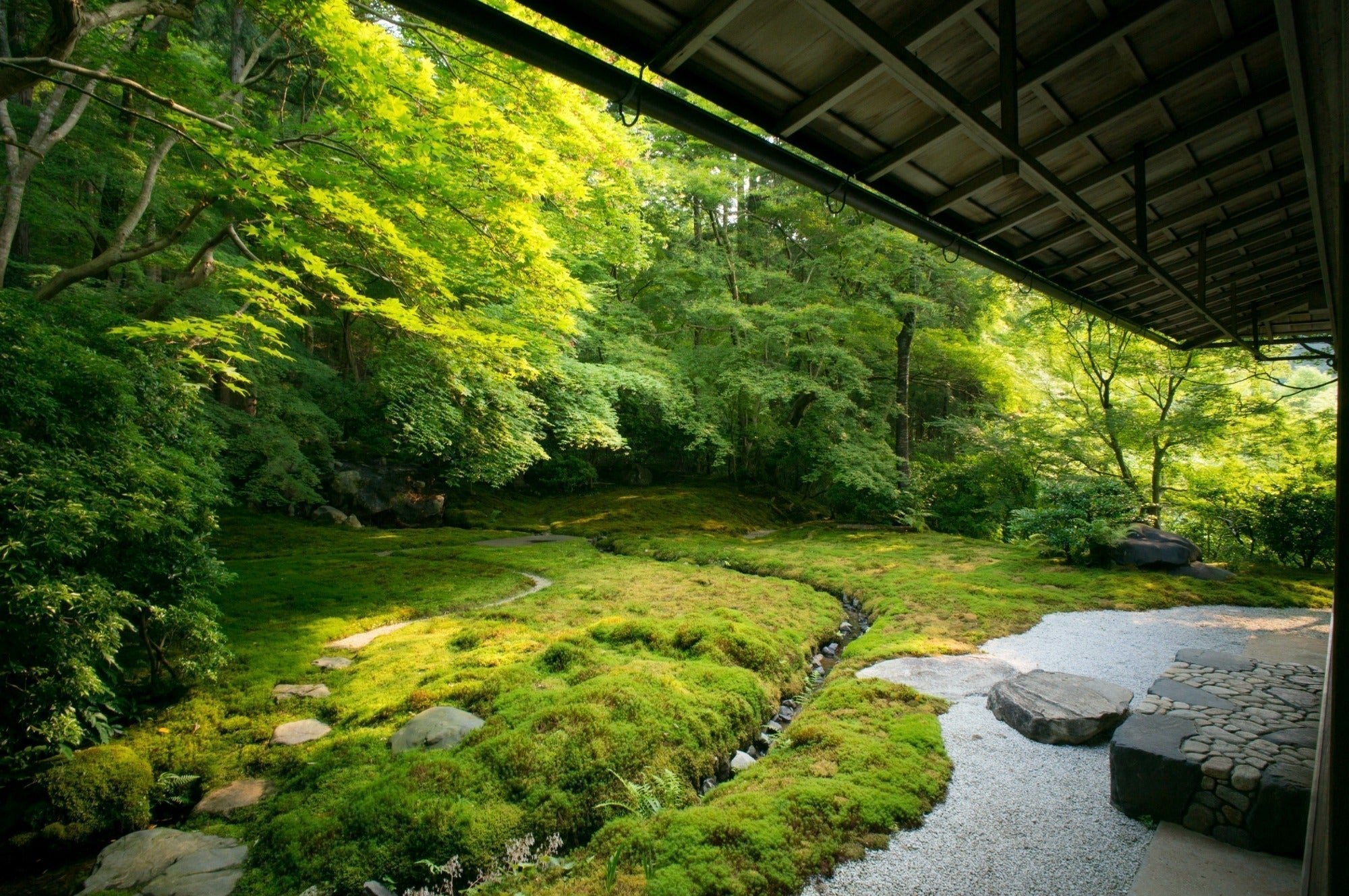 Wabi Sabi and the Art of Kintsugi - The Wabi Sabi Shop