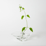 Clear glass flower holder with silver metal coil insert, showcasing a single green vine in a modern minimalist Ikebana-style arrangement on a white background.