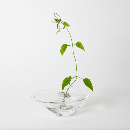 Clear glass flower holder with silver metal coil insert, showcasing a single green vine in a modern minimalist Ikebana-style arrangement on a white background.
