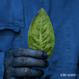 Furoshiki 100 – Naturally Indigo - Dyed Ichimatsu Gradation