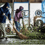 Furoshiki 100 – Naturally Indigo - Dyed Ichimatsu Gradation