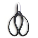 Hidehisa Carbon Steel Ikebana Shears — T - 9