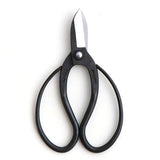Hidehisa Carbon Steel Ikebana Shears — T - 9