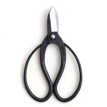 Hidehisa Carbon Steel Ikebana Shears — T - 9
