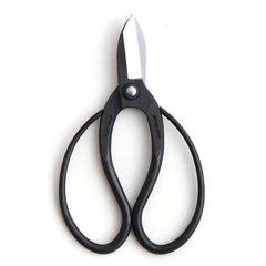 Hidehisa Carbon Steel Ikebana Shears — T - 9