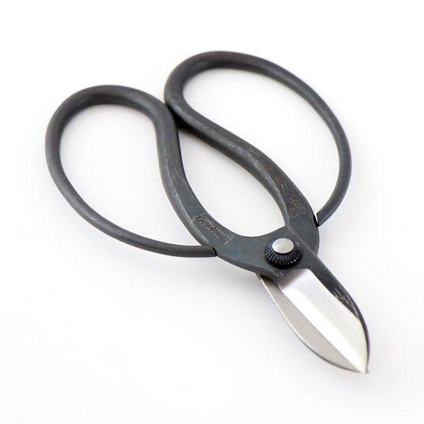 Hidehisa Carbon Steel Ikebana Shears — T - 9