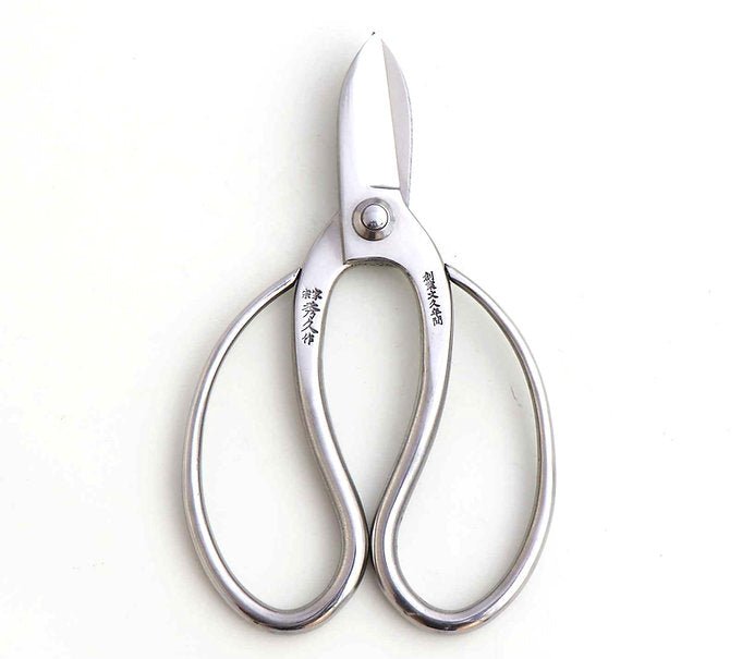 Hidehisa Stainless Steel Ikebana Shears — T - 11