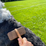 Kanaya Gentle Pet Brush with Natural Boar Bristles