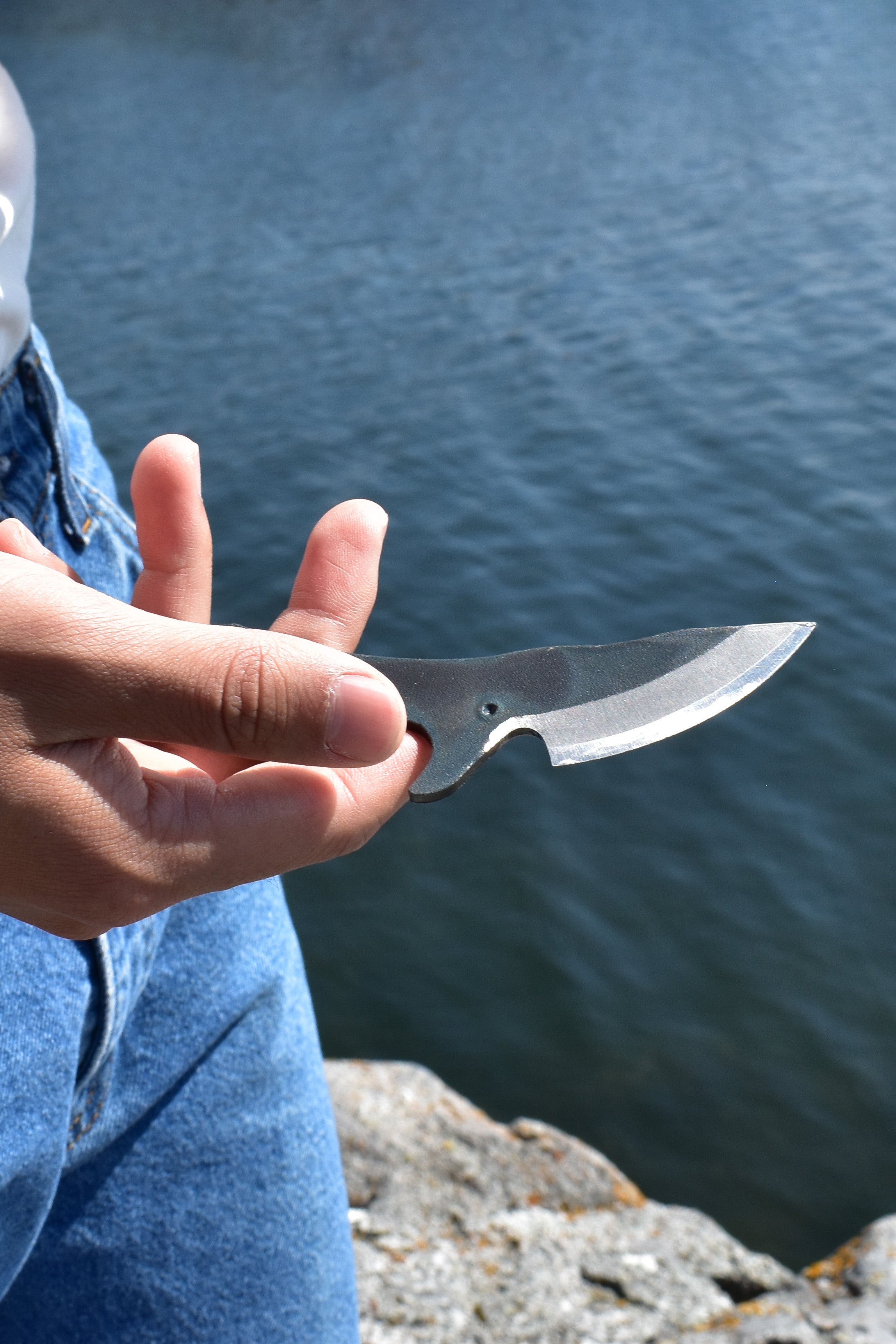 Tosa Whale Knives