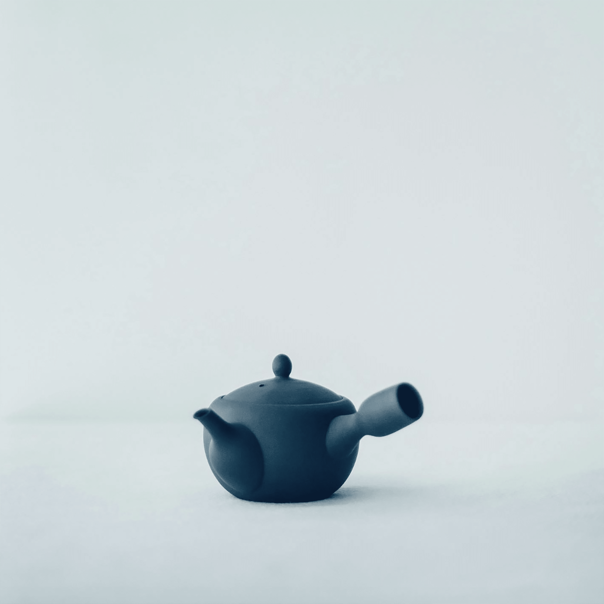 Nankei Apricot Kyusu Teapot — Black Clay 320ml