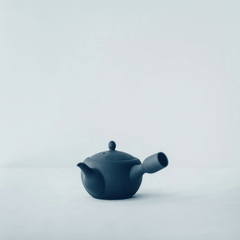 Nankei Apricot Kyusu Teapot — Black Clay 320ml