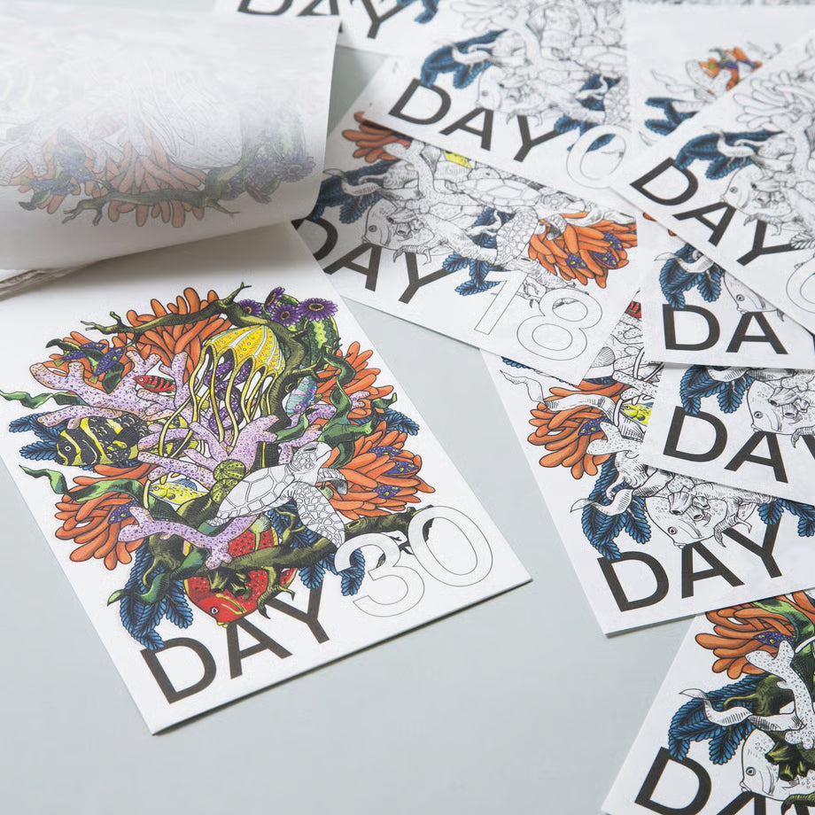 Completed Ply Day rip-away calendar sea turtle illustration on Day 30, surrounded by previous daily pages, Japanese design by 100 percent