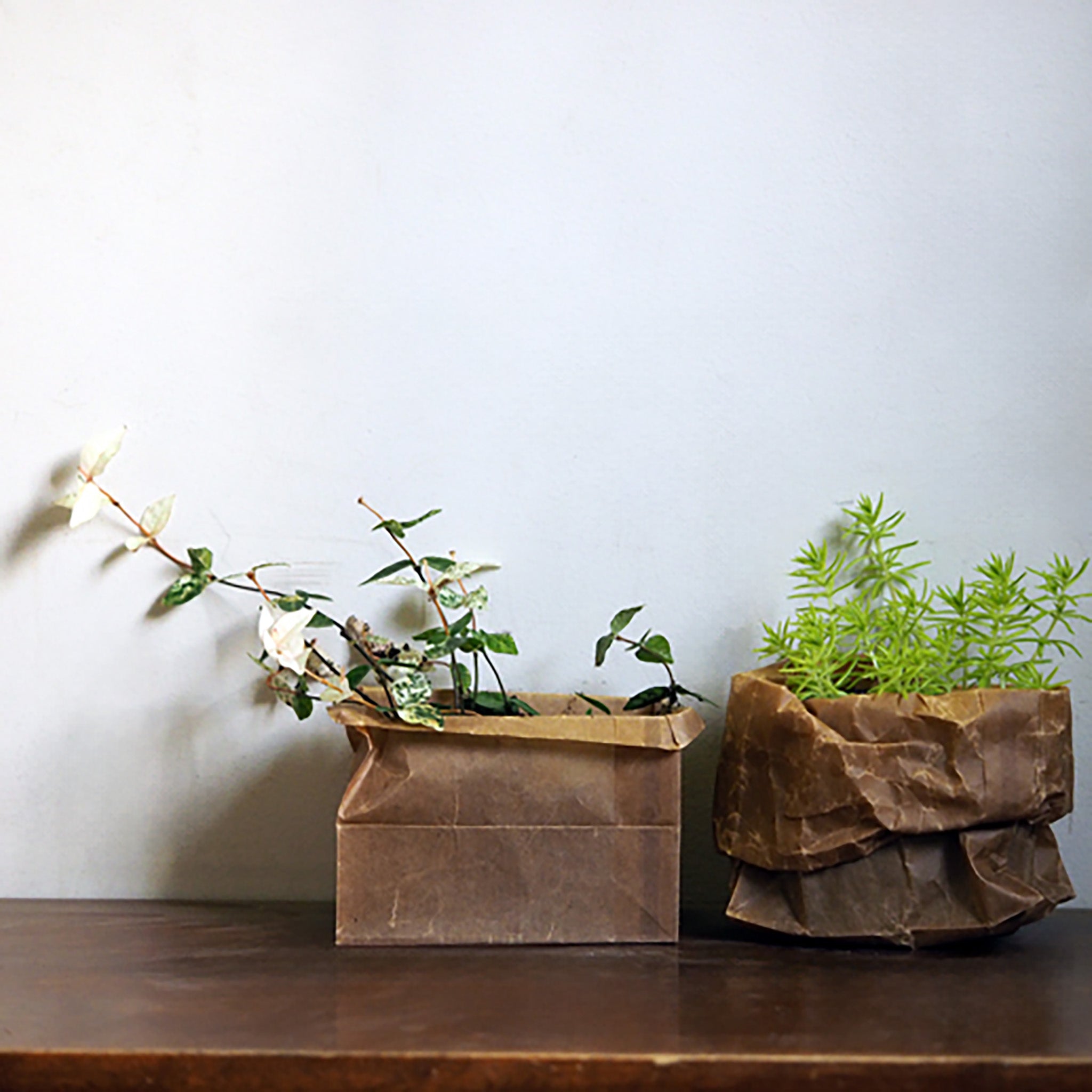 Rōbiki Japanese Waxed Paper Squire Bottom Bags