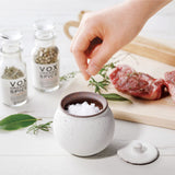 Shigaraki Artisan Salt Pot