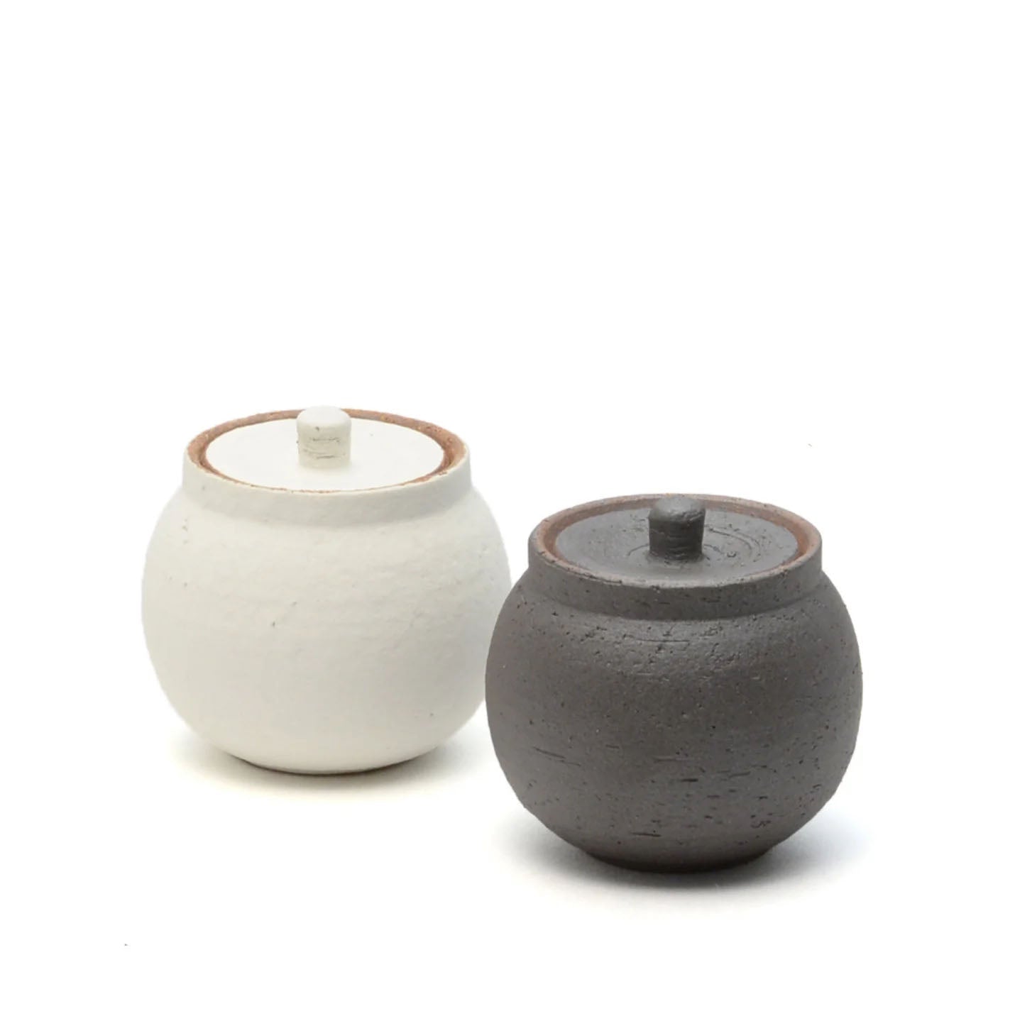 Shigaraki Artisan Salt Pot
