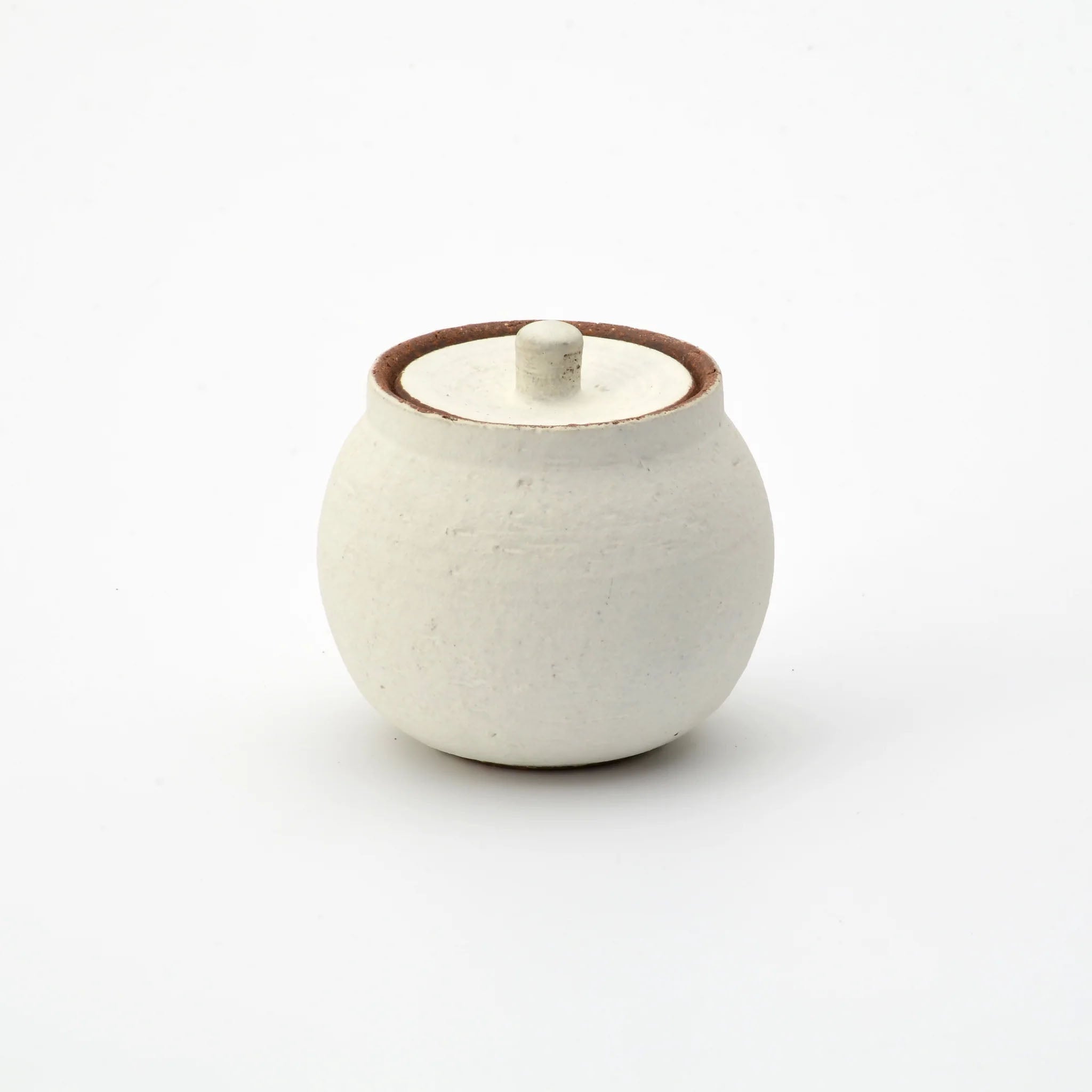 Shigaraki Artisan Salt Pot
