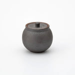 Shigaraki Artisan Salt Pot
