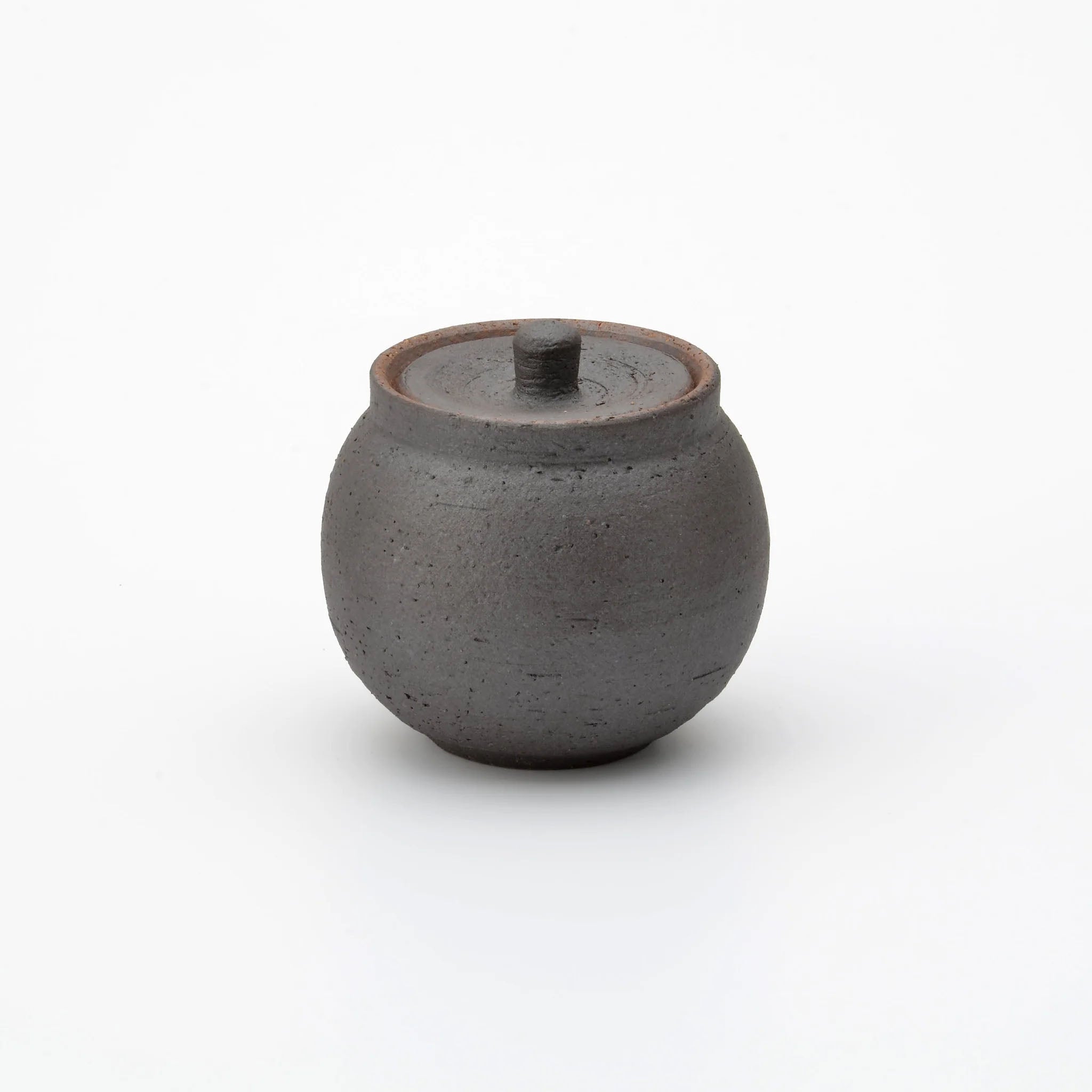 Shigaraki Artisan Salt Pot