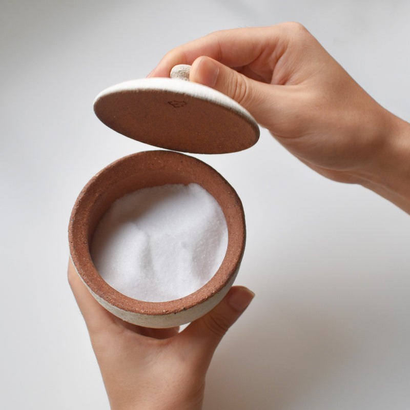 Shigaraki Salt Pot