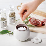 Shigaraki Salt Pot (S)