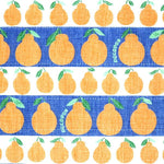 Shirayuki Kitchen Cloth - Citrus Pop