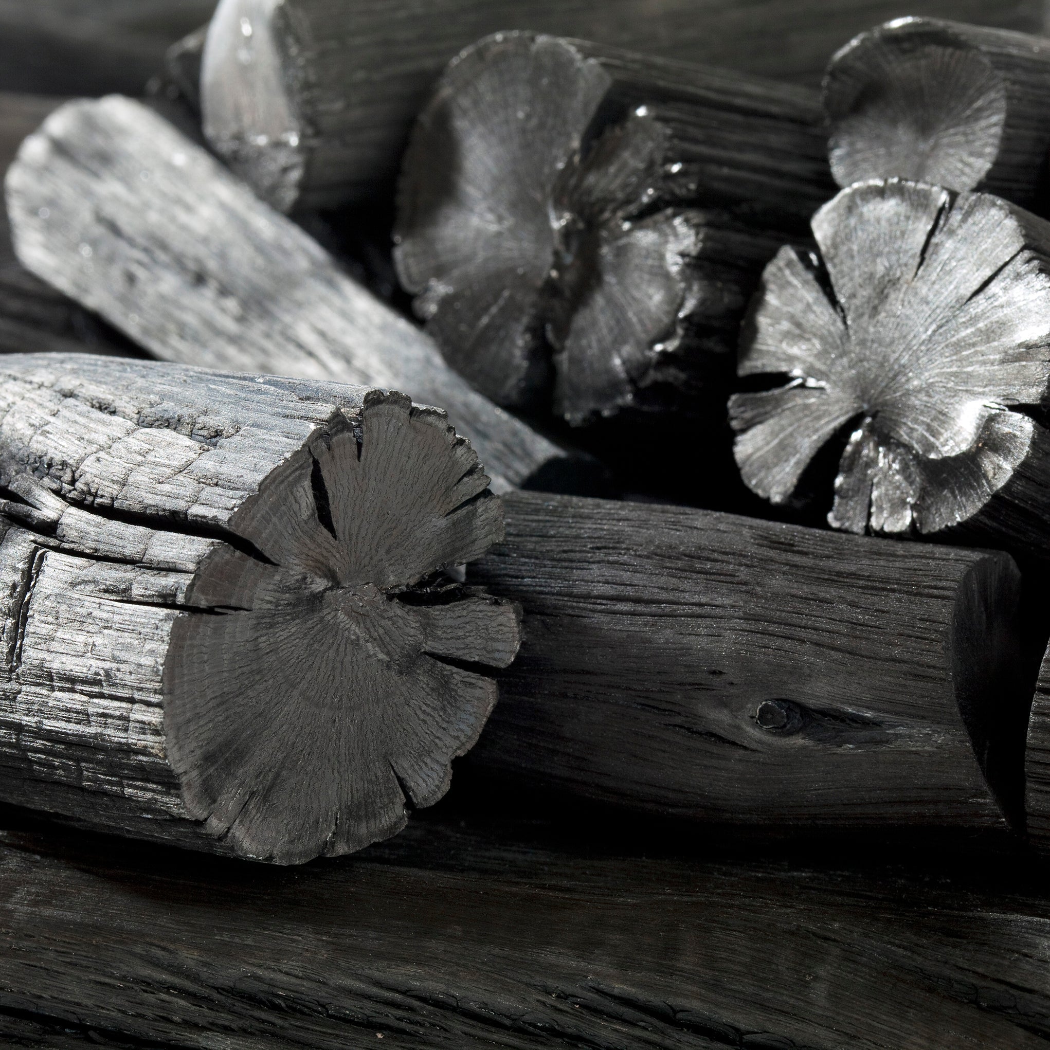Close-up of traditional Japanese Binchotan charcoal logs showing natural grain and high-purity finish.