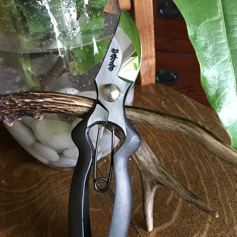 Hidehisa garden pruners resting on a deer antler with a glass vase of white stones and greenery in the background, showcasing Japanese craftsmanship in a rustic indoor setting