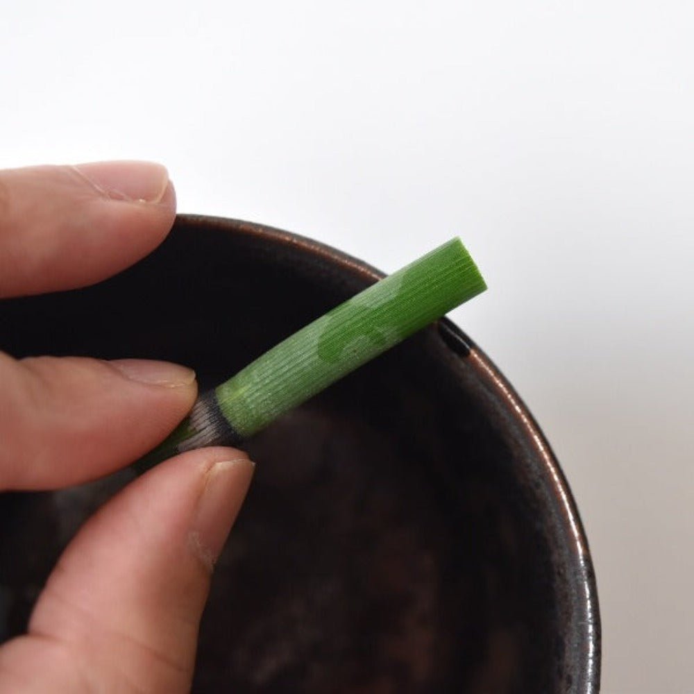 Close-up of a natural green reed brush used in Japanese Kintsugi repair, showing traditional technique for applying urushi lacquer.