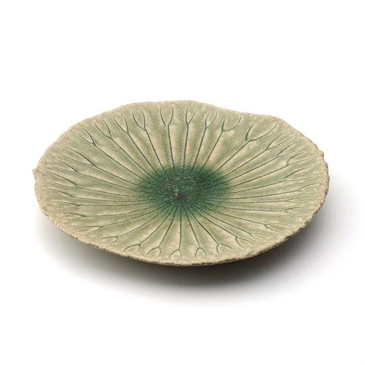 Shigaraki Lotus Plate