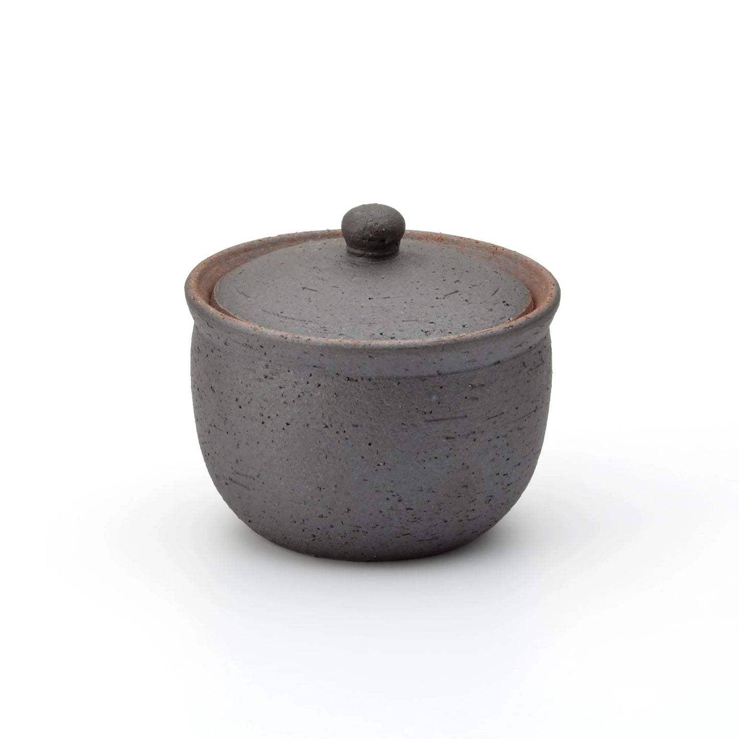 Shigaraki Salt Pot